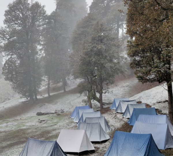 Best Camping in Billing