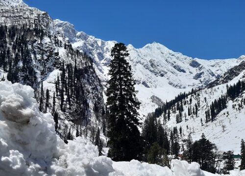 Thamsar Pass Trek